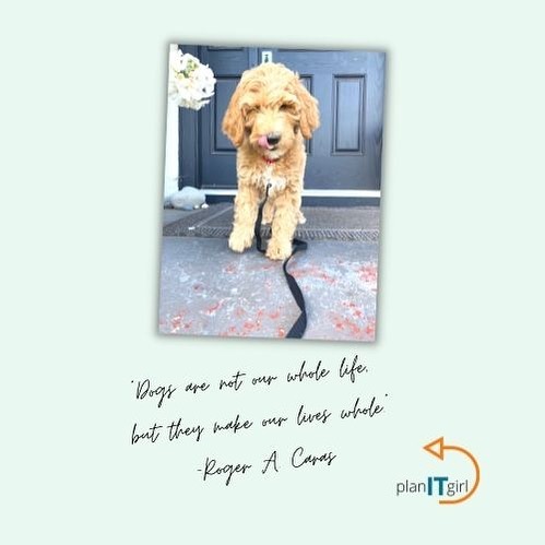 pandemic_year_TWO_experience_going